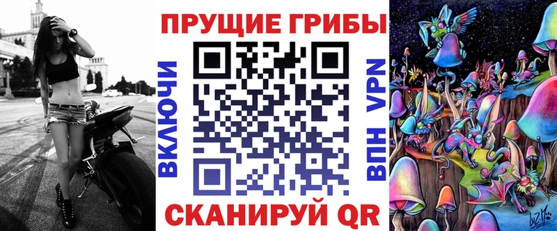 Купить где  Инта  Галлюциногенные грибы Cubensis 