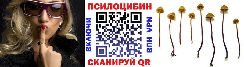 Псилоцибиновые грибы MAGIC MUSHROOMS Инта